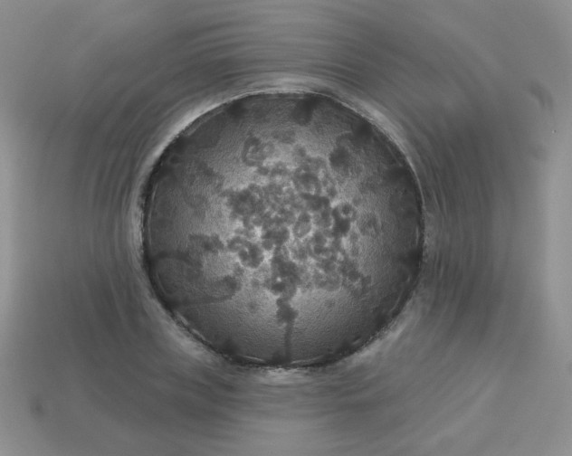 X0000113180835200909181851