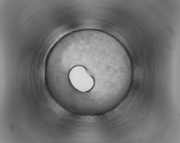 X0000113180836200909181851