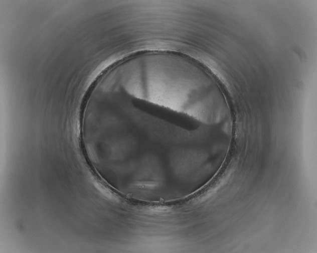 X0000113180837200909181851