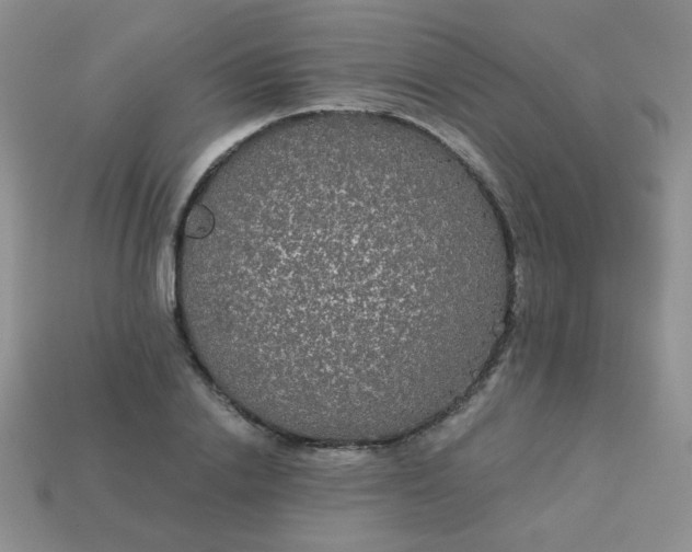 X0000113180838200909181851