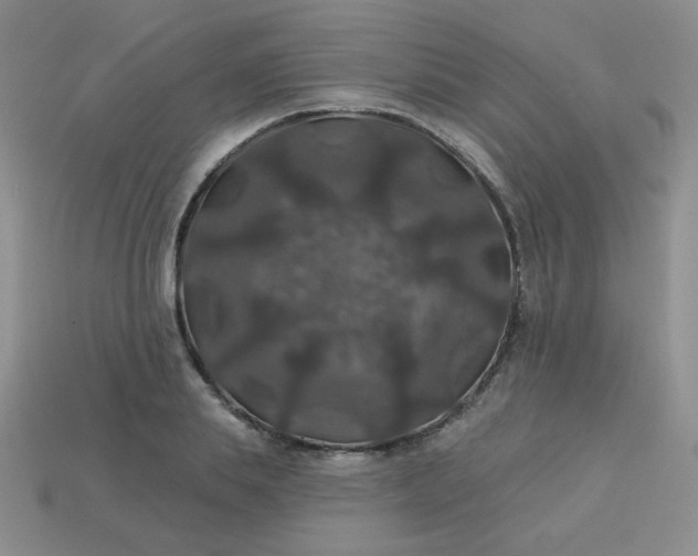 X0000113180839200909181851