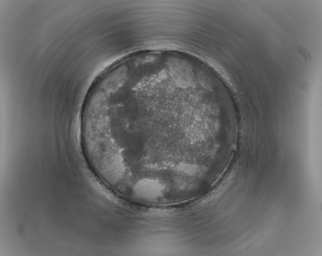 X0000113180840200909181851