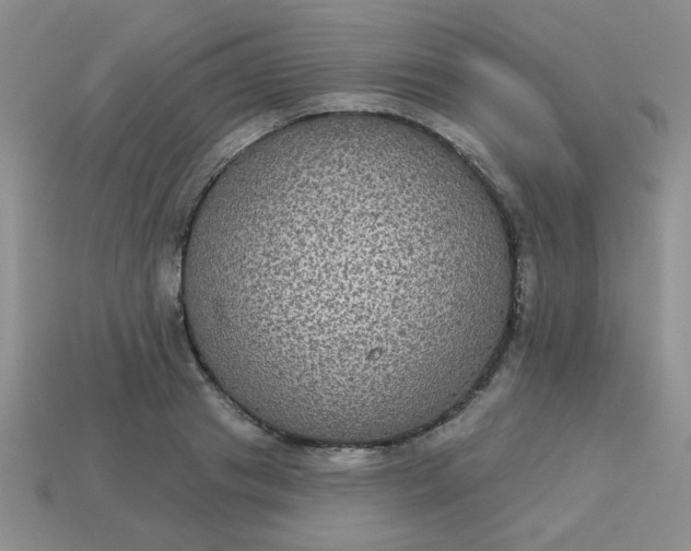 X0000113180841200909181851