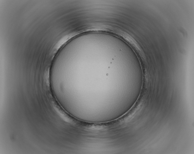 X0000113180842200909181851