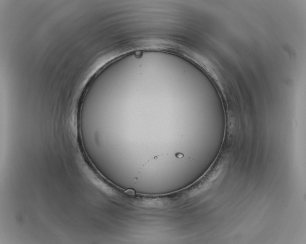 X0000113180843200909181851