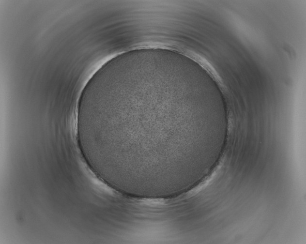 X0000113180844200909181851