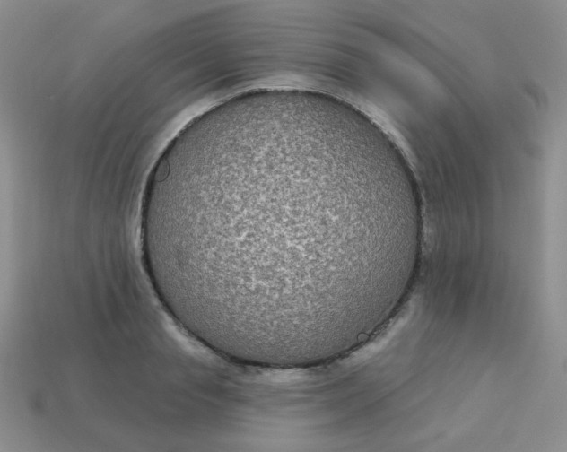 X0000113180845200909181851