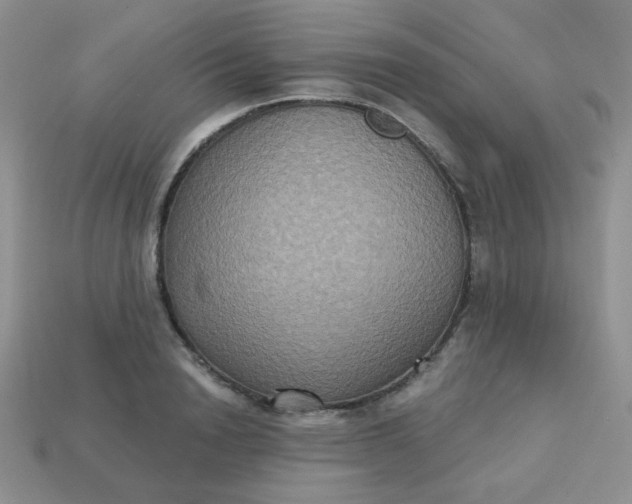 X0000113180846200909181851