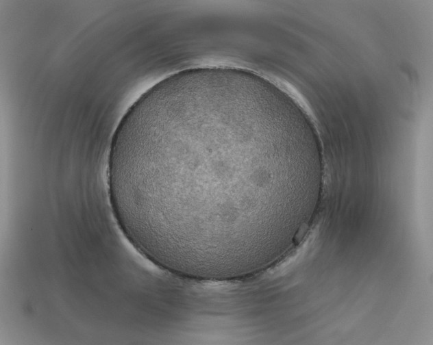 X0000113180847200909181851