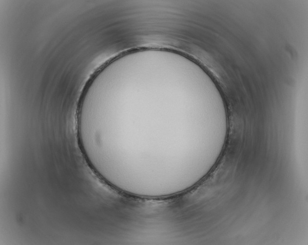 X0000113180848200909181851