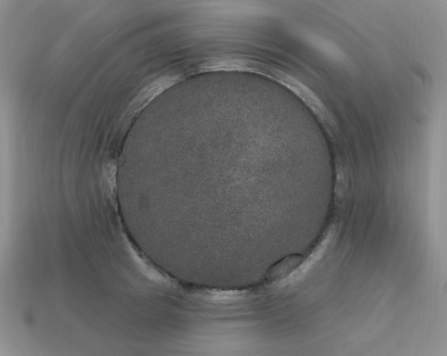 X0000113180849200909181851