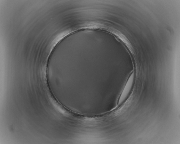 X0000113180850200909181851