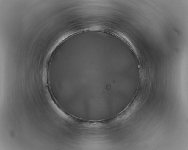 X0000113180851200909181851