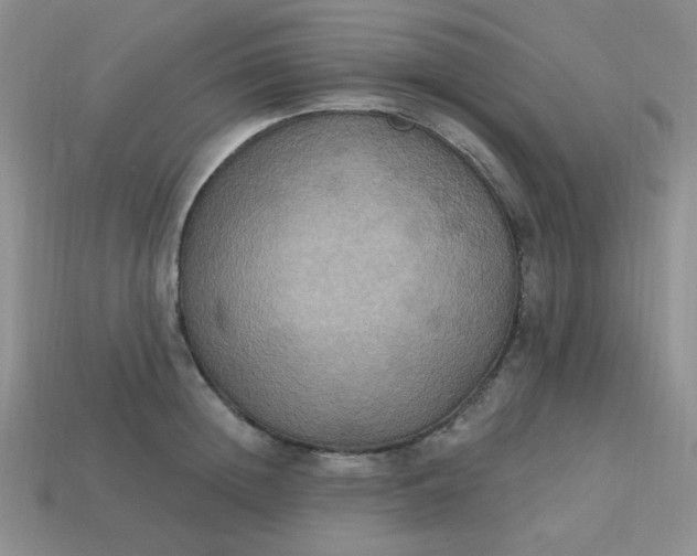 X0000113180852200909181851