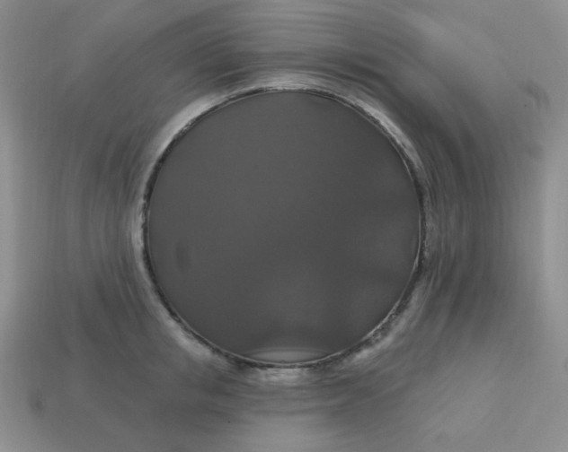 X0000113180853200909181852