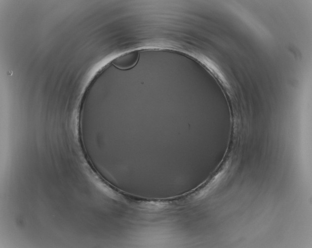 X0000113180854200909181852