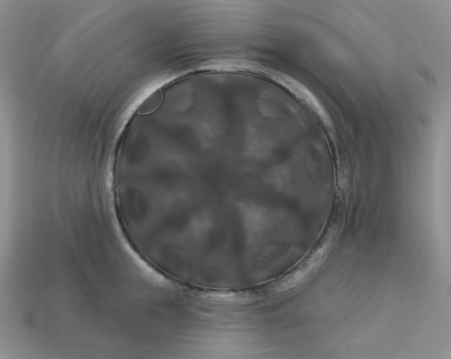 X0000113180855200909181852