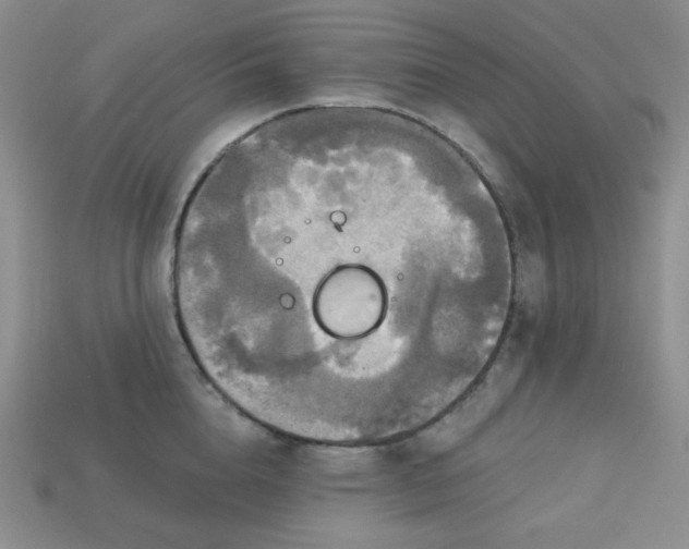 X0000113180856200909181852