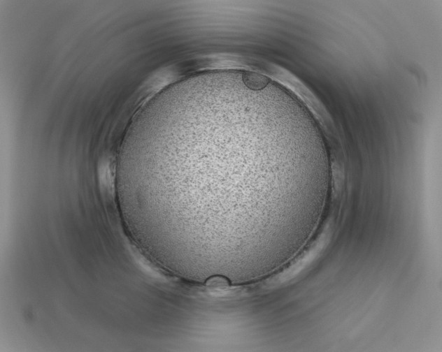 X0000113180857200909181852