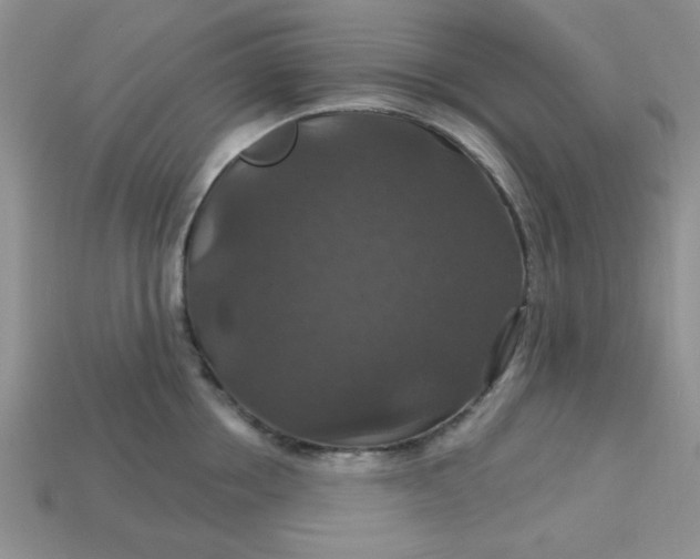 X0000113180858200909181852