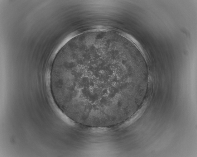 X0000113180859200909181852