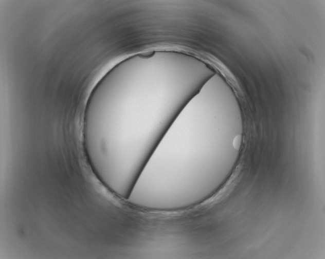 X0000113180860200909181852