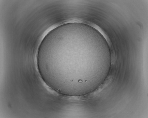 X0000113180861200909181852