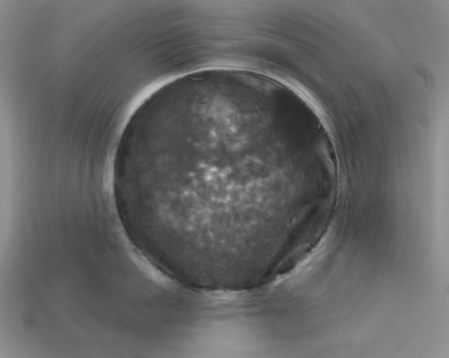 X0000113180862200909181852