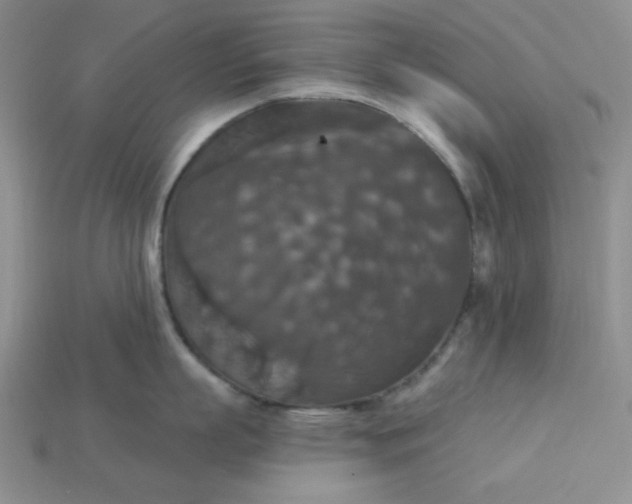 X0000113180863200909181852