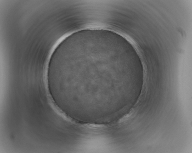 X0000113180864200909181852