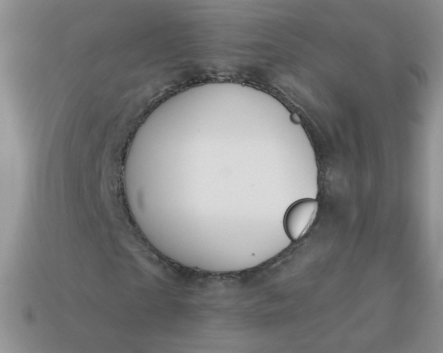 X0000113180865200909181851