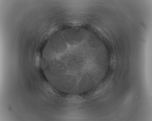 X0000113180866200909181851