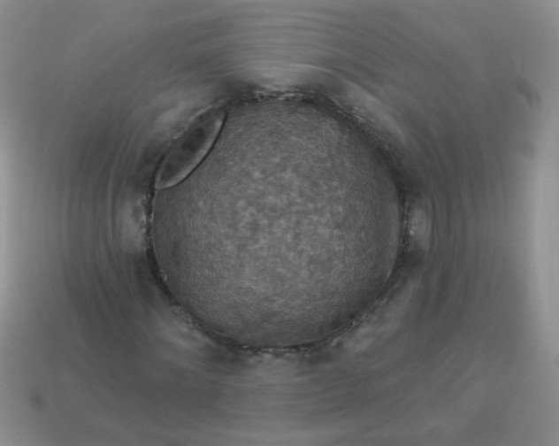 X0000113180868200909181851