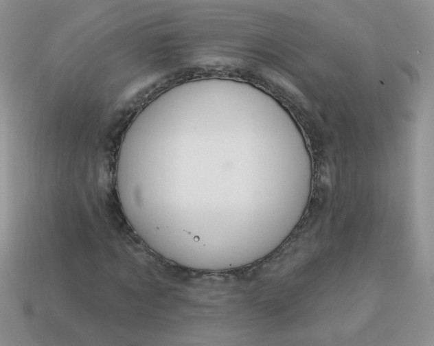 X0000113180869200909181851