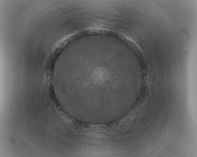 X0000113180870200909181851