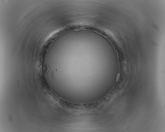 X0000113180872200909181851