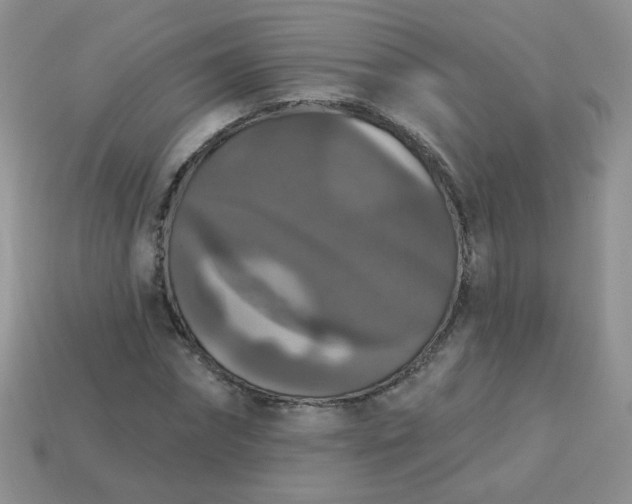 X0000113180874200909181851