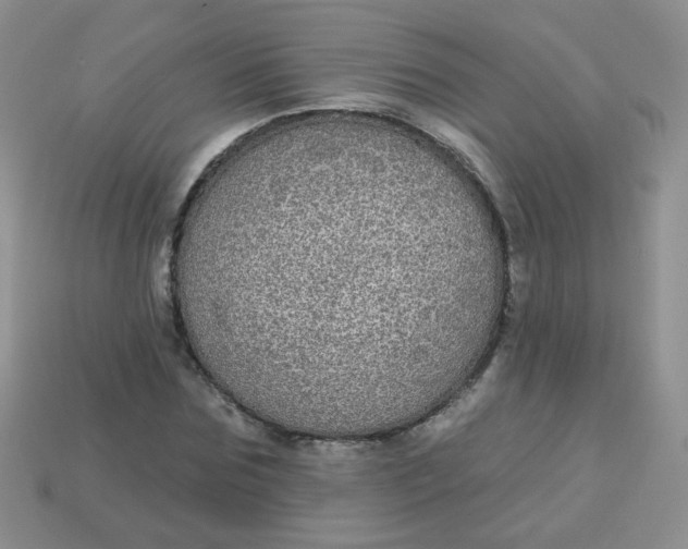 X0000113180875200909181851