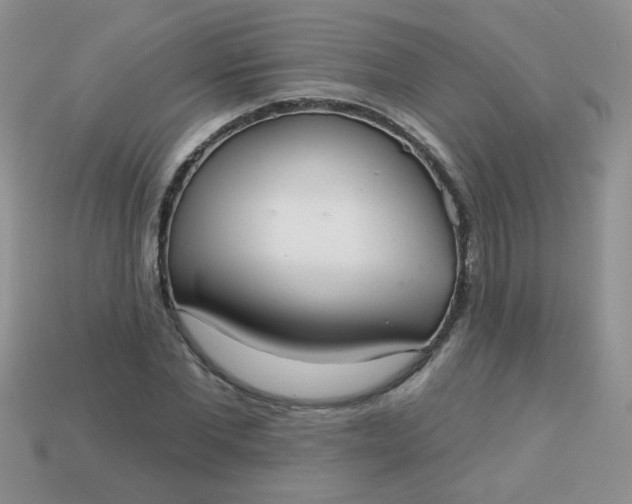 X0000113180877200909181851