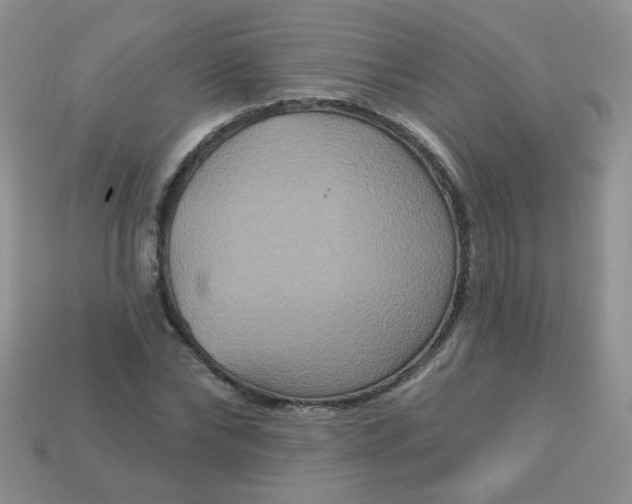 X0000113180878200909181851