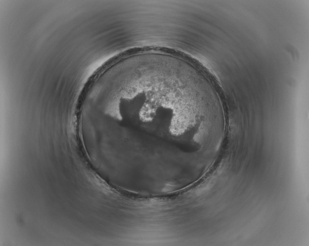 X0000113180879200909181851