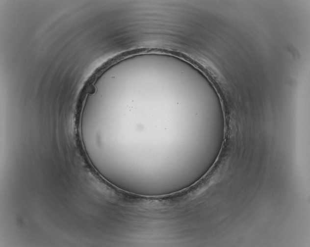 X0000113180880200909181851