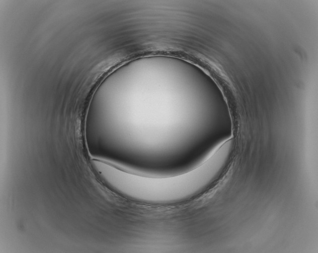 X0000113180881200909181851