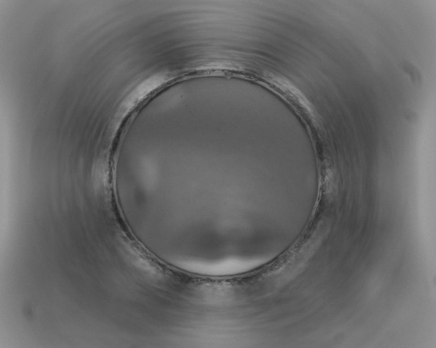 X0000113180882200909181851