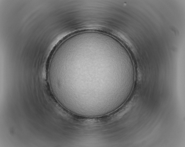 X0000113180883200909181851