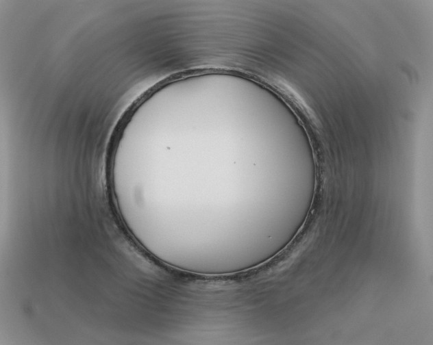 X0000113180884200909181851