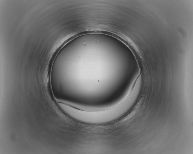 X0000113180885200909181851