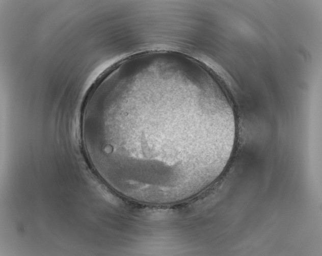 X0000113180886200909181851