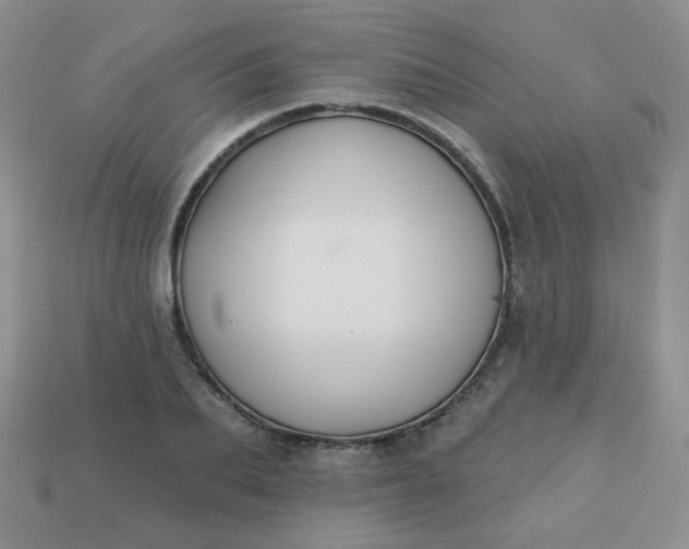 X0000113180887200909181851