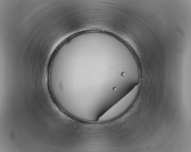 X0000113180888200909181851